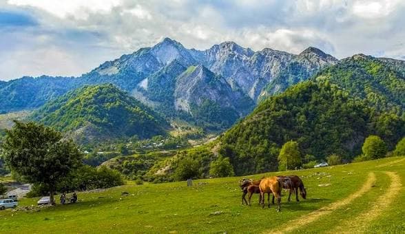 Gabala